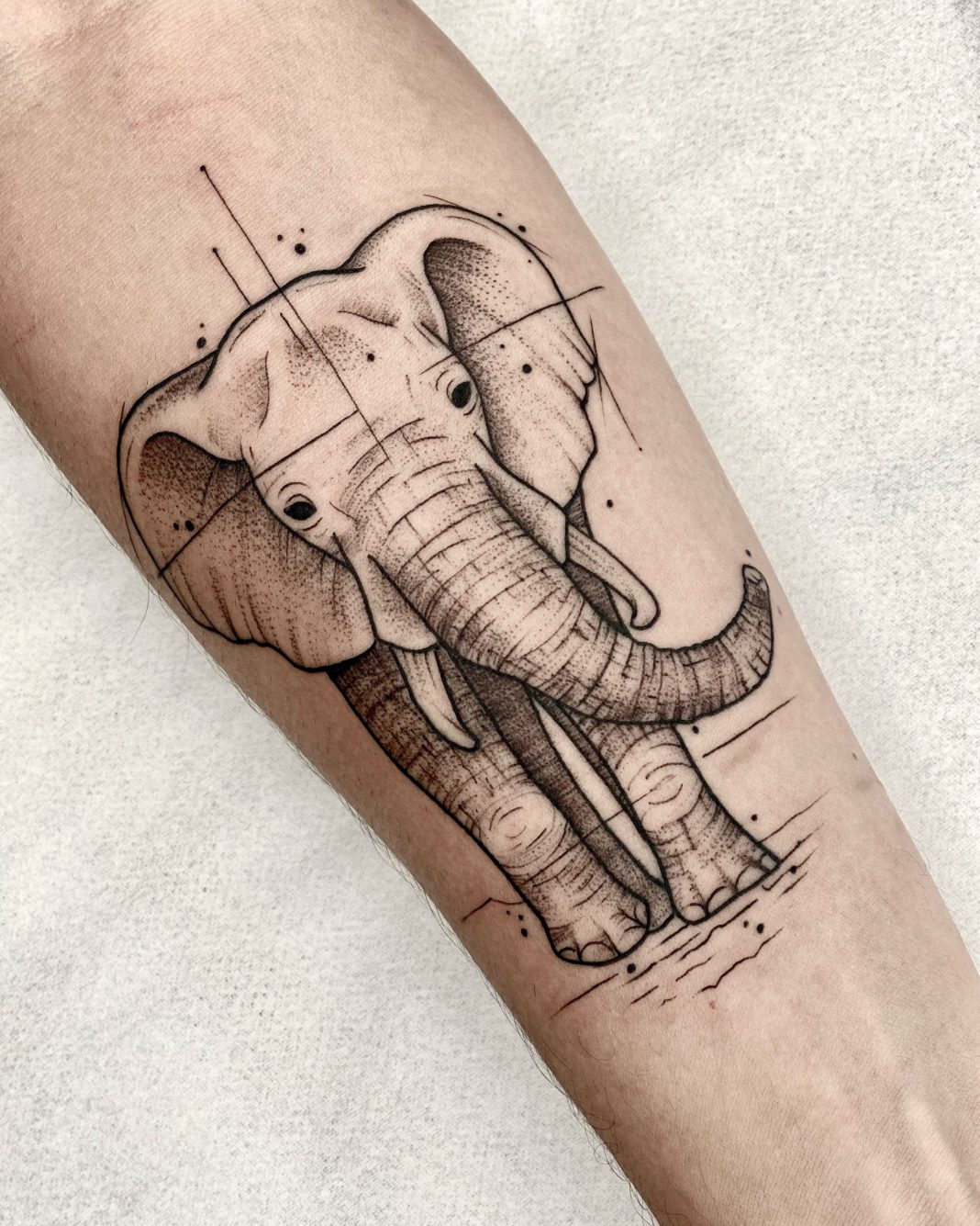 Tatuagem sketch artistas brasileiros para você seguir Blog Tattoo2me